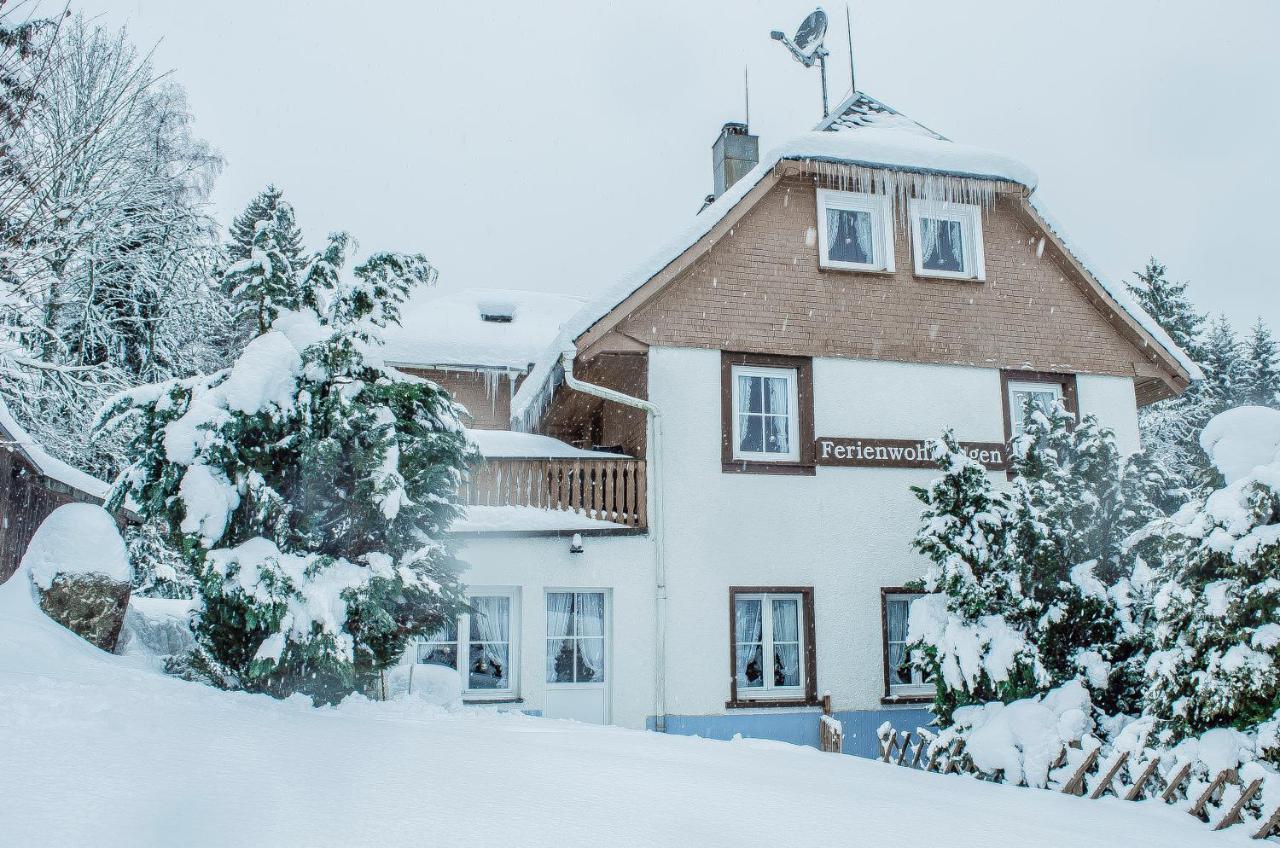 Schwarzwald Apartments Im Haus Tanneck - Feldberg - Titisee Exteriér fotografie
