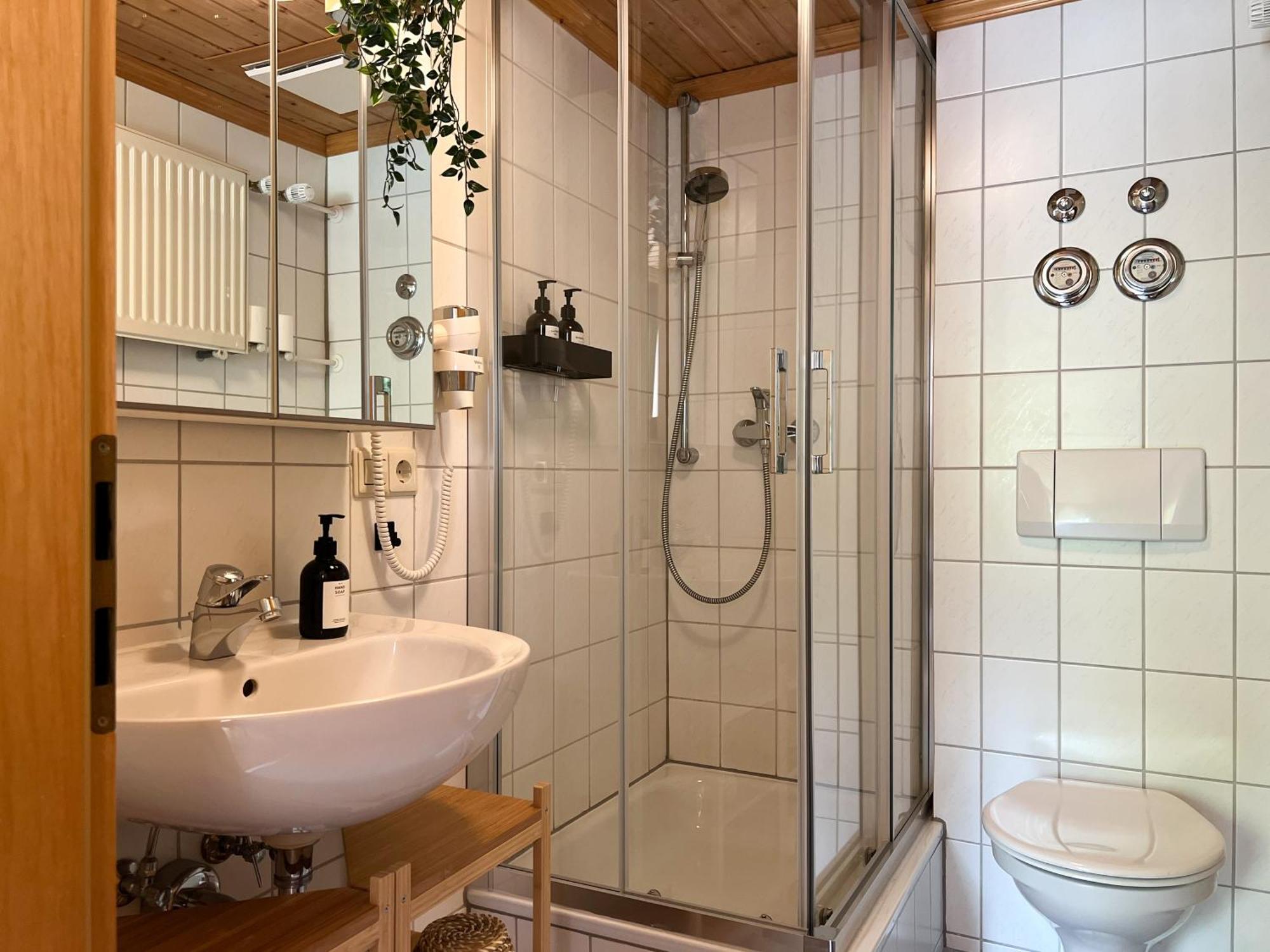 Schwarzwald Apartments Im Haus Tanneck - Feldberg - Titisee Exteriér fotografie